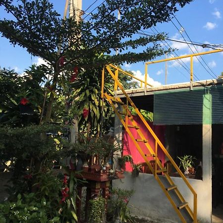 Thong Family Homestay Chiangdao 치앙다오 외부 사진