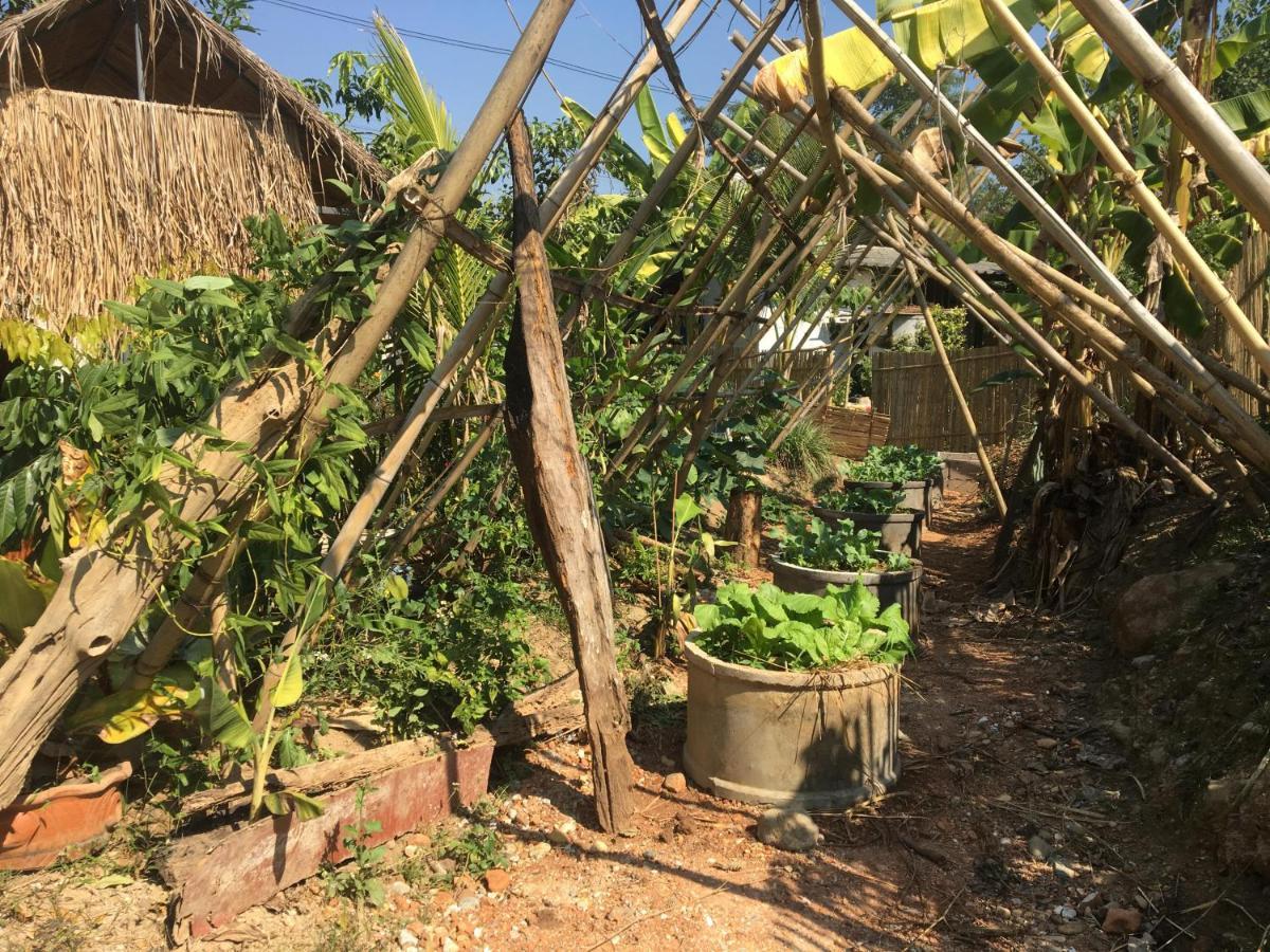 Thong Family Homestay Chiangdao 치앙다오 외부 사진