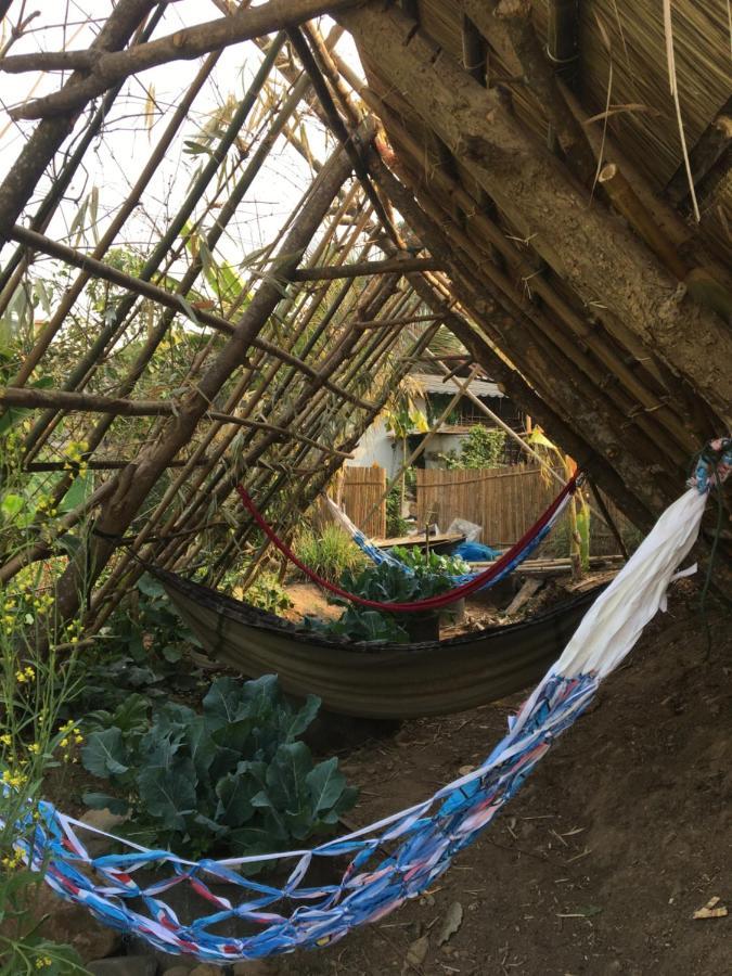 Thong Family Homestay Chiangdao 치앙다오 외부 사진