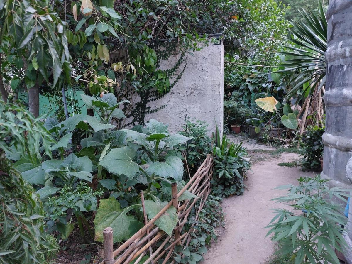 Thong Family Homestay Chiangdao 치앙다오 외부 사진