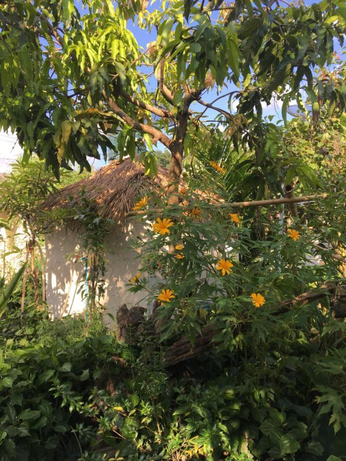 Thong Family Homestay Chiangdao 치앙다오 외부 사진